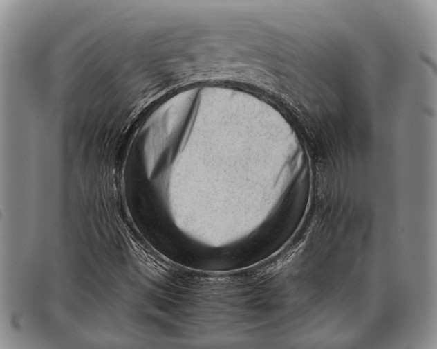 X0000097961497200804141015