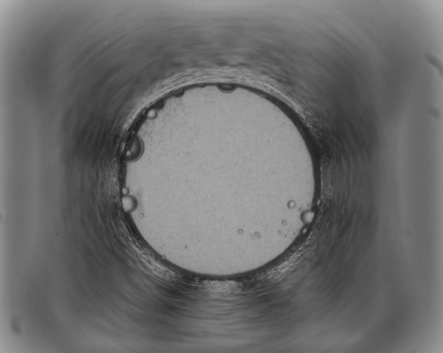 X0000097961498200804141015