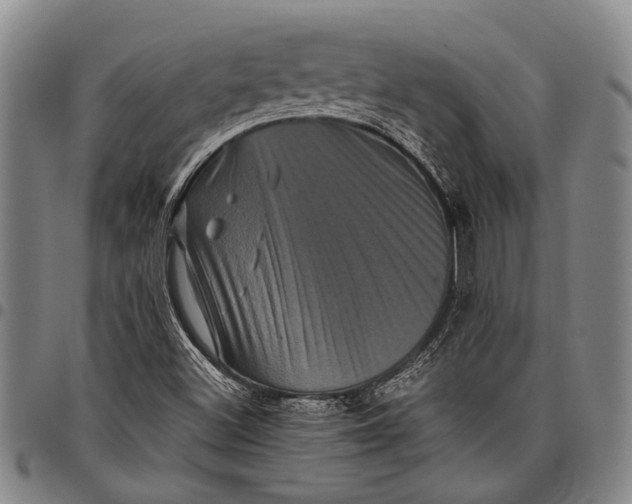 X0000097961500200804141015
