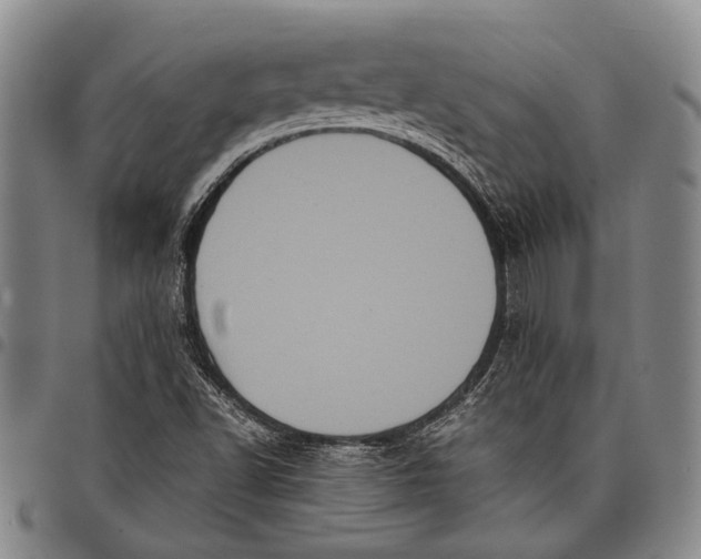 X0000097961502200804141015