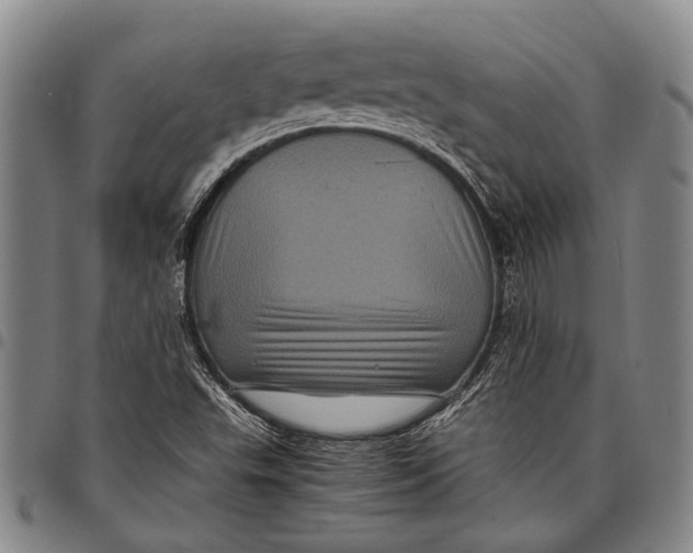 X0000097961503200804141015