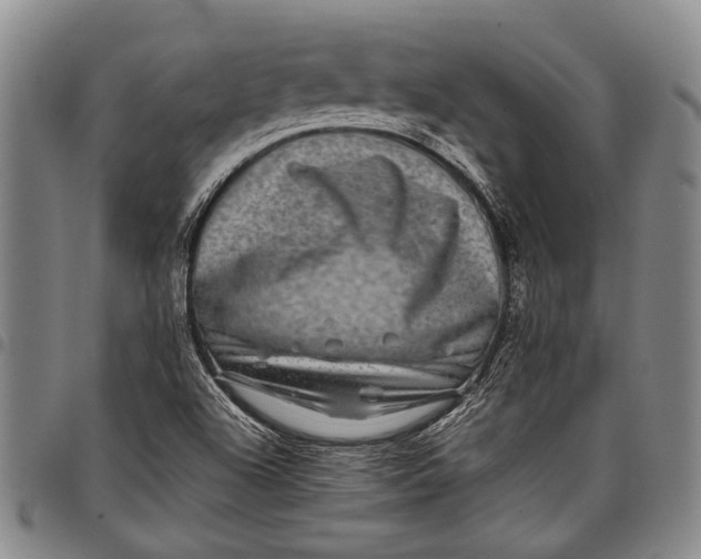 X0000097961504200804141015