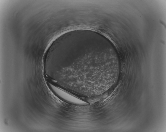 X0000097961508200804141015