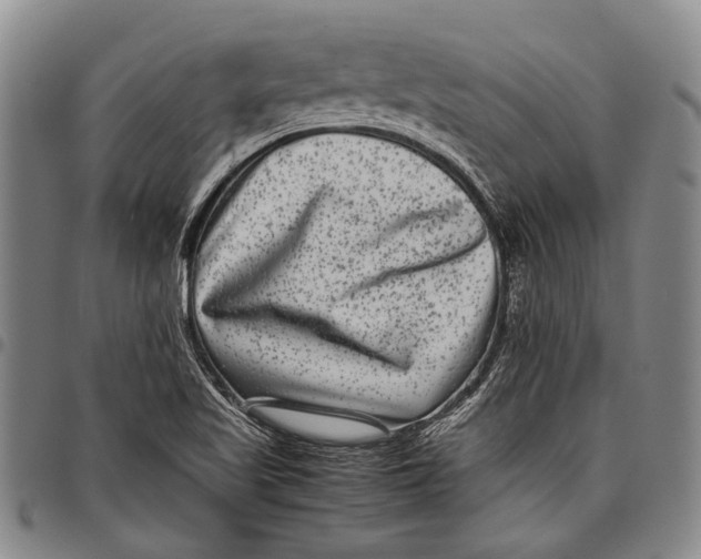 X0000097961509200804141015