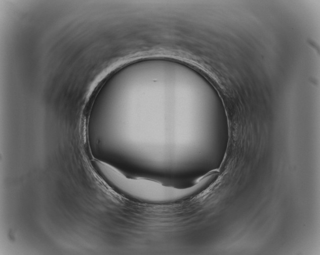 X0000097961510200804141015