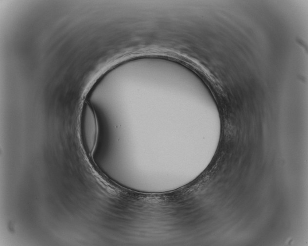 X0000097961512200804141015