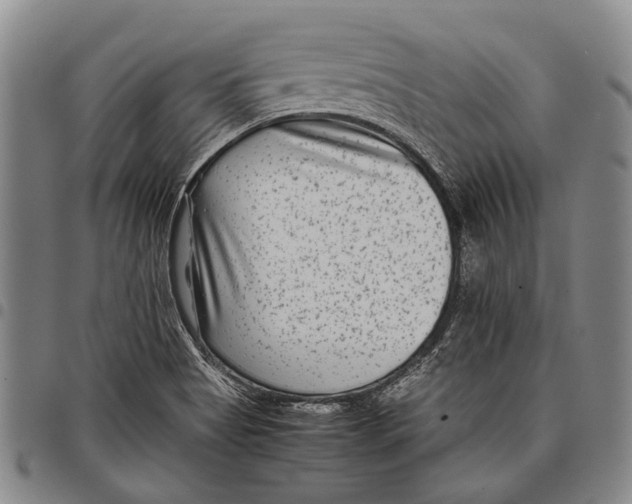 X0000097961513200804141015