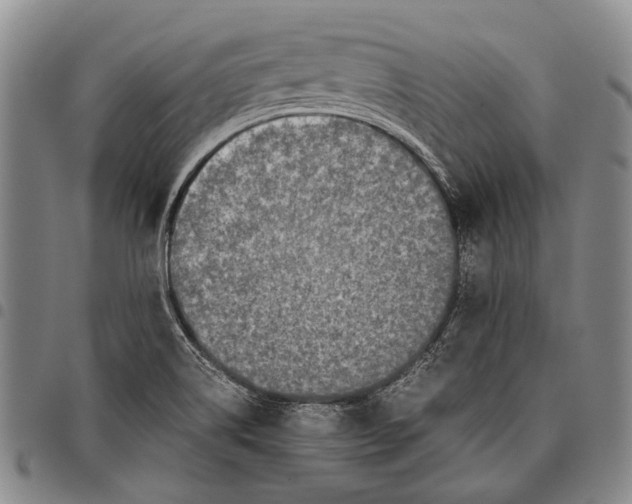 X0000097961514200804141015