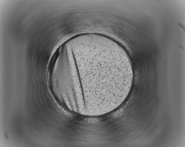 X0000097961517200804141015