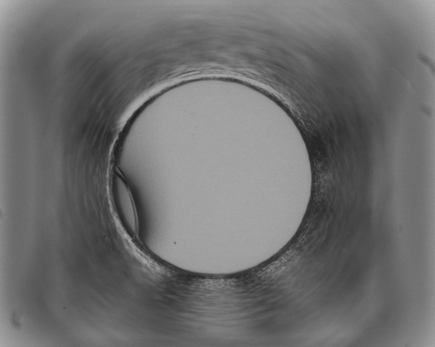 X0000097961518200804141015