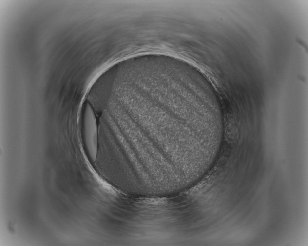 X0000097961519200804141015