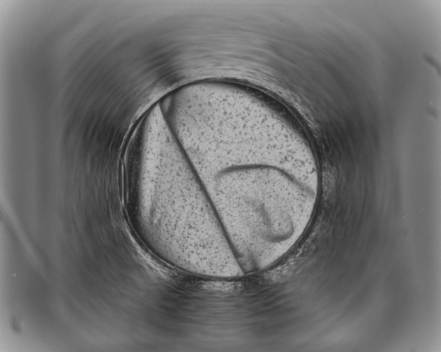 X0000097961521200804141016
