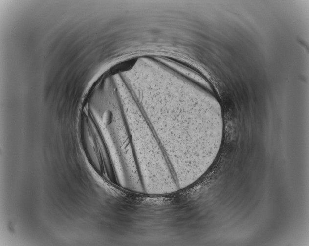 X0000097961523200804141016