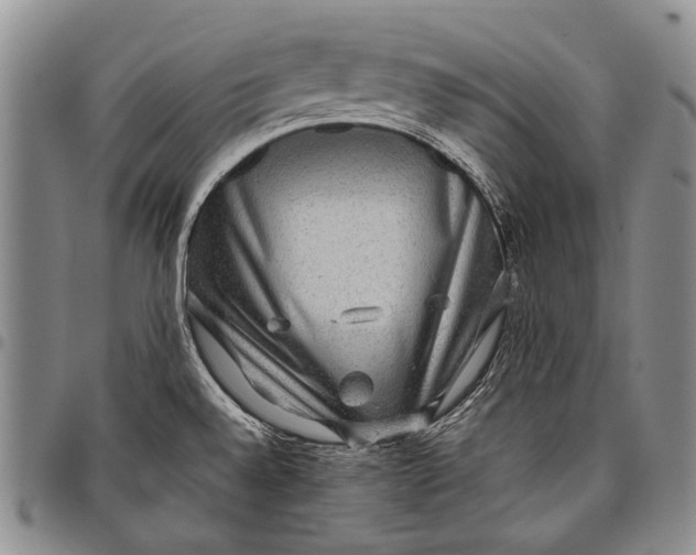 X0000097961528200804141016
