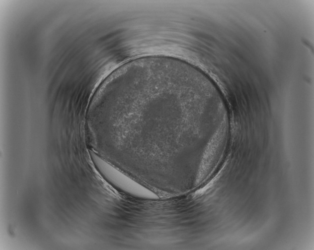 X0000097961529200804141016