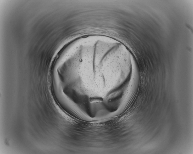 X0000097961531200804141016