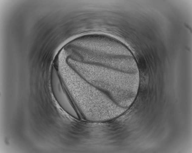 X0000097961534200804141016