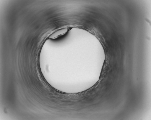 X0000097960001200804211116
