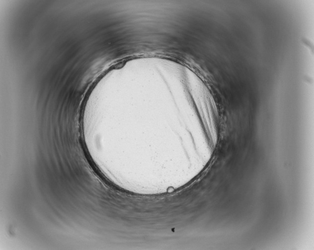 X0000097960002200804211116
