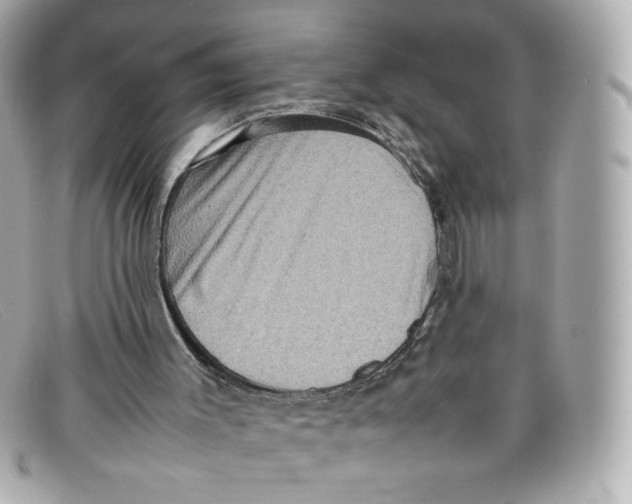 X0000097960003200804211116