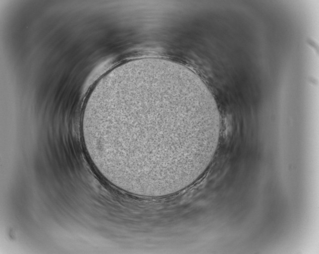 X0000097960004200804211116
