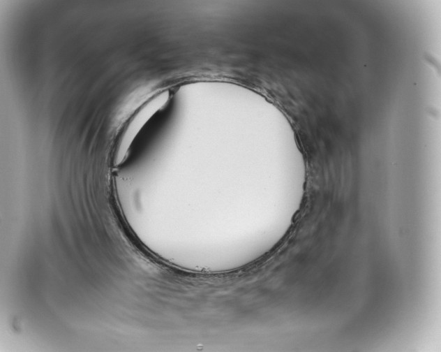 X0000097960005200804211116