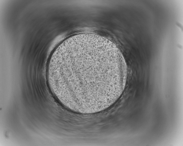 X0000097960006200804211116