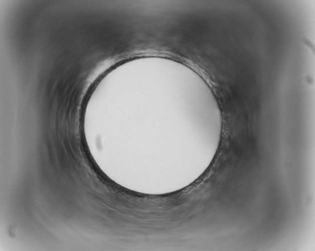 X0000097960008200804211116