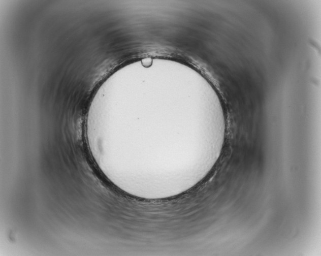 X0000097960010200804211116