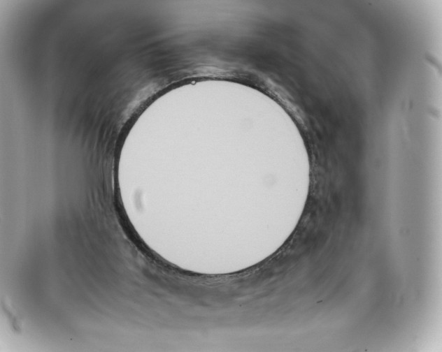 X0000097960011200804211115