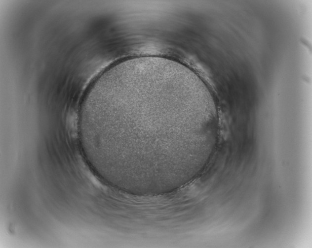 X0000097960012200804211115