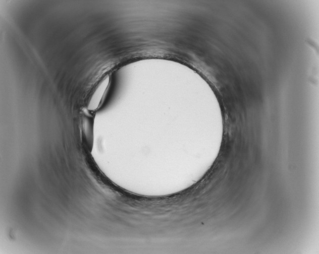 X0000097960013200804211115