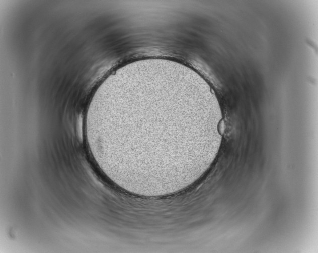 X0000097960014200804211115