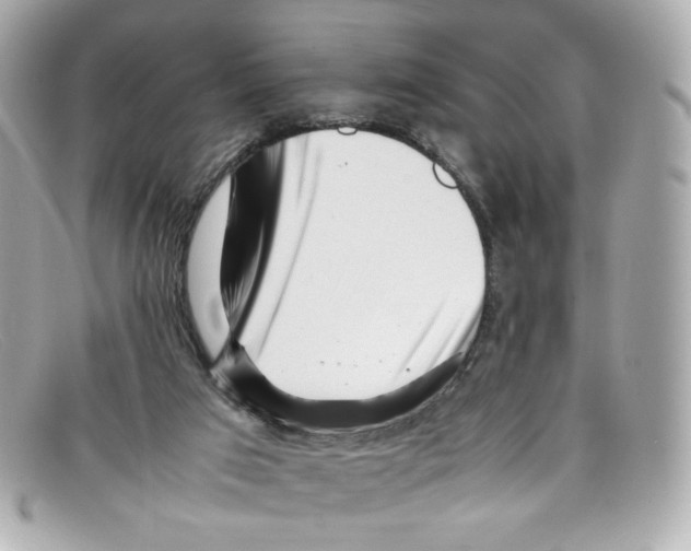X0000097960017200804211115
