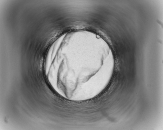 X0000097960018200804211115