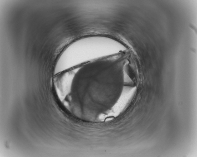 X0000097960019200804211115