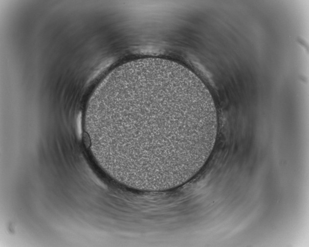 X0000097960020200804211115