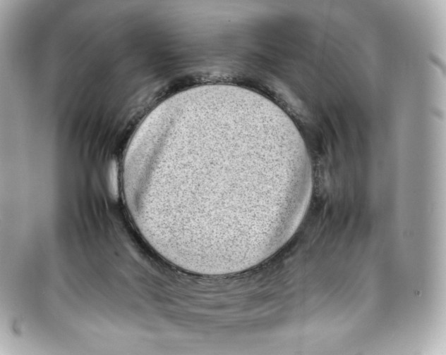 X0000097960022200804211115