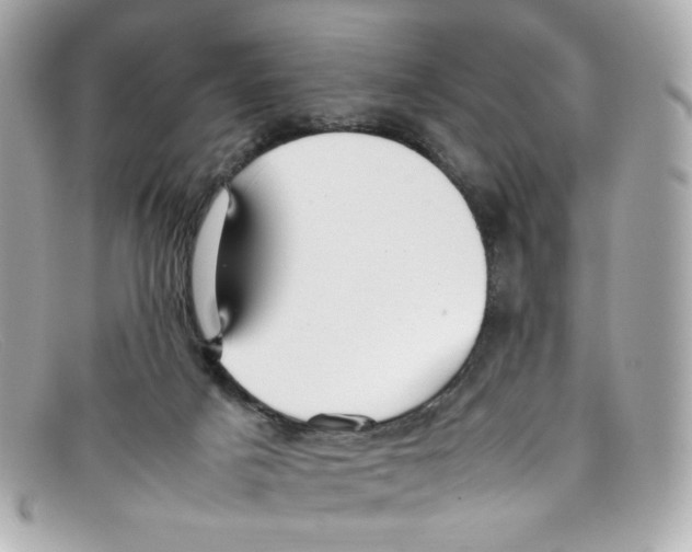 X0000097960025200804211115