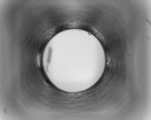 X0000097960026200804211115
