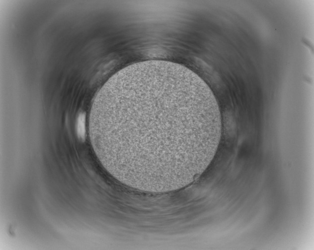 X0000097960028200804211115