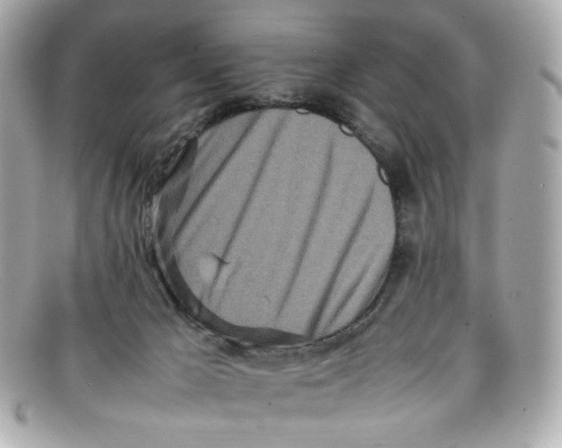 X0000097960029200804211115