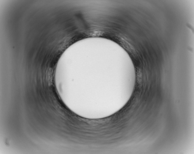 X0000097960030200804211115