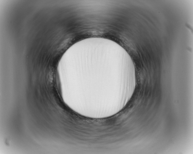 X0000097960032200804211115