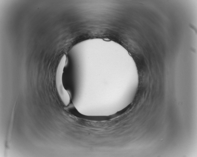 X0000097960033200804211115