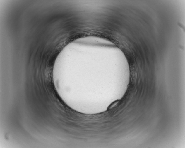 X0000097960034200804211115