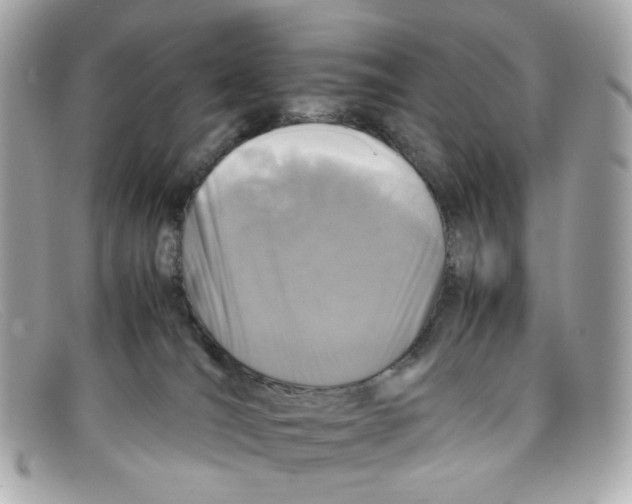 X0000097960036200804211115