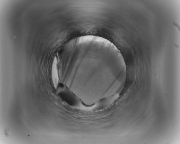 X0000097960039200804211115