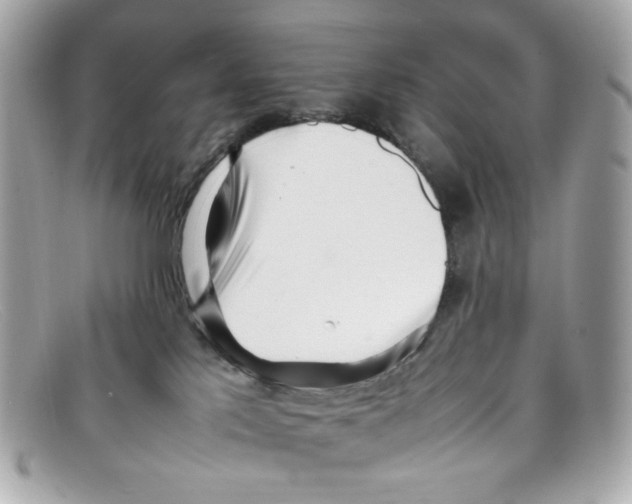 X0000097960041200804211115