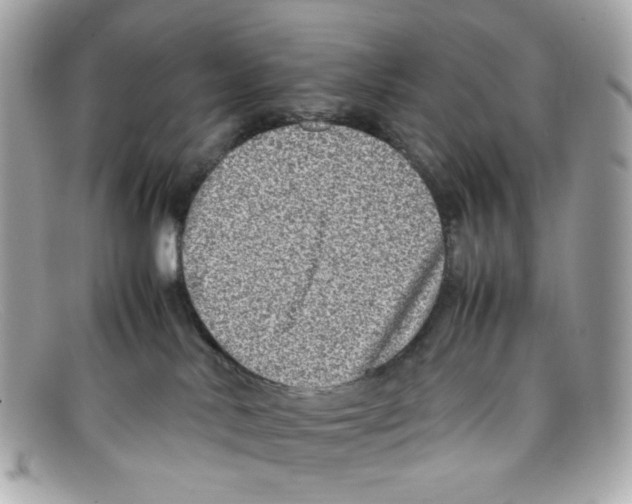 X0000097960042200804211115